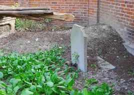 馮道立墓 馮道立墓