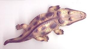 阿法雷碼 阿法雷碼