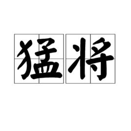 猛將[網路遊戲鹿鼎記Online中的職業]
