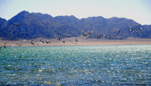 小蘇乾湖自然保護區 小蘇乾湖自然保護區