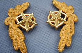 軍人勳章 軍人勳章