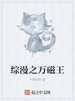 綜漫之萬磁王