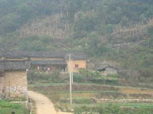 金坪山自然村 金坪山自然村