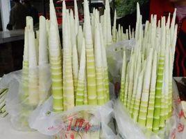 崇州牛尾筍 崇州牛尾筍