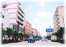 新民社區[廣東東莞市長安鎮下轄社區]