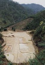 源口窯址 源口窯址