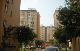 西山楓林 西山楓林