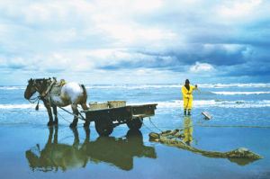 騎馬捕蝦 騎馬捕蝦