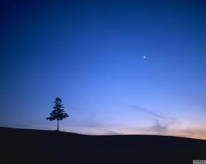 世界四大草原[地理區域]