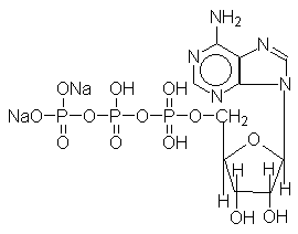三磷酸腺苷二鈉結構式