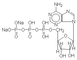 三磷酸腺苷二鈉結構式