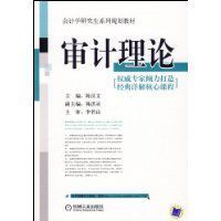 審計理論 審計理論