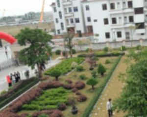 鰲路頭村 鰲路頭村