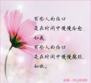 《何以笙簫默》