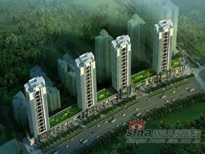 九華春天裡 九華春天裡