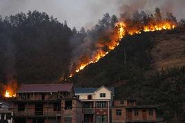 2·5浙江淳安山林大火 2·5浙江淳安山林大火