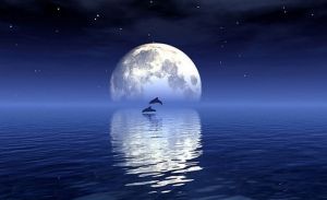 特蘭西瓦尼亞效應