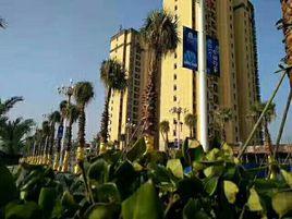 金山鎮[江西省上栗縣金山鎮]