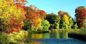 黃捻子森林公園 黃捻子森林公園