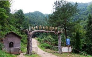 枯井園自然保護區