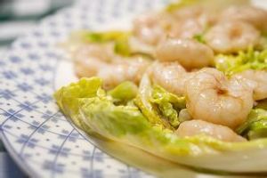 雪衣鮮貝 雪衣鮮貝