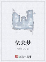 憶未夢 憶未夢