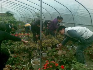 成員在苗圃實習