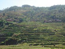 大中村[雲南省楚雄州楚雄市大過口鄉下轄村]