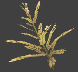 土沉葉香 土沉葉香