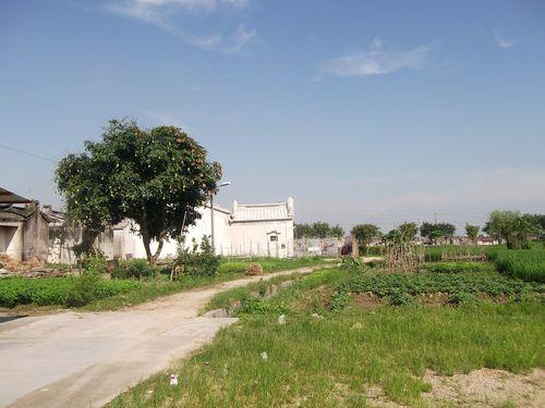 廣東普寧東街道上塘歸湖村