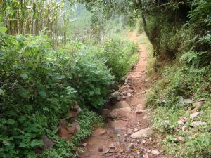 楊柳橋自然村 楊柳橋自然村