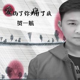 愛傷了你痛了我 愛傷了你痛了我