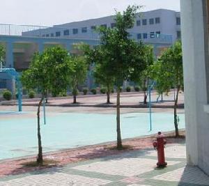 寶坻縣體育中學 寶坻縣體育中學