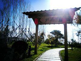 北湯溫泉 北湯溫泉