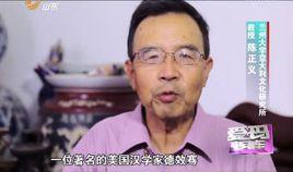 陳正義[蘭州大學教授]