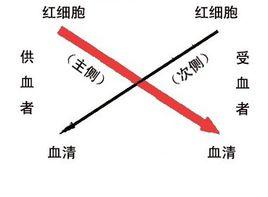 鹽水交叉配合試驗 鹽水交叉配合試驗