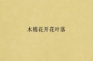 木棉花開花葉落