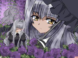 真紅杏樹 真紅杏樹