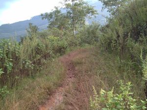 小科馬村 小科馬村