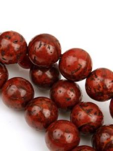 龍眼菩提 龍眼菩提