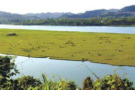 四川蓬安相如湖國家濕地公園 四川蓬安相如湖國家濕地公園