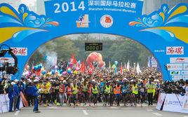 2014深圳國際馬拉松賽 2014深圳國際馬拉松賽