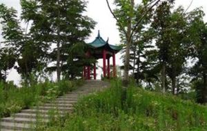 興化桃花島戶外運動基地 興化桃花島戶外運動基地