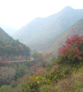 崛山[陝西省岐山縣山地]