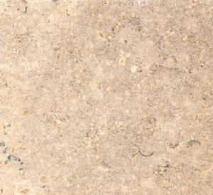 西奈珍珠 | Sina Pearl |