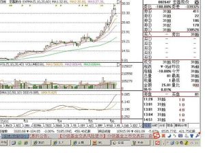 宏磊股份 宏磊股份