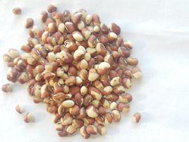 豇豆糙米 豇豆糙米