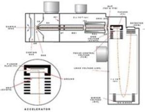 加速器質譜分析 加速器質譜分析