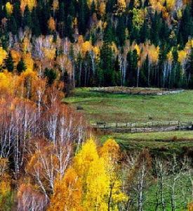 新疆生產建設兵團農十師