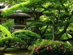 日本庭園 日本庭園